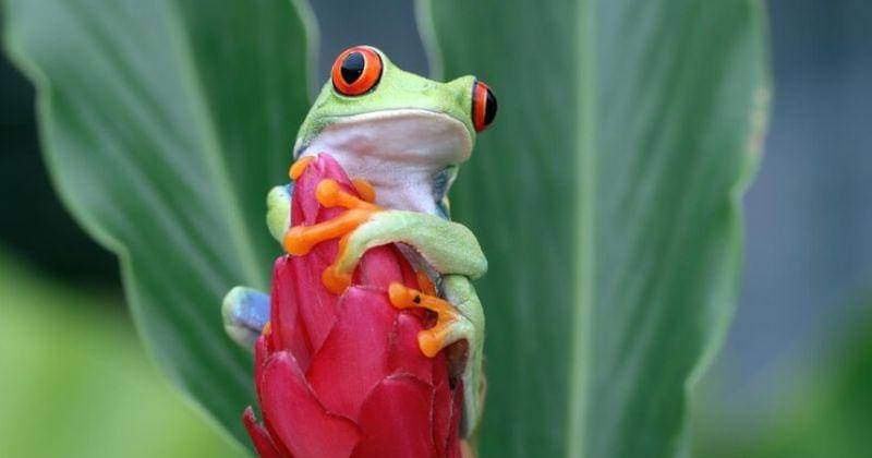 Freepik/kuritafsheen77